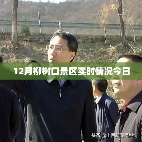 12月柳树口景区最新实时概况