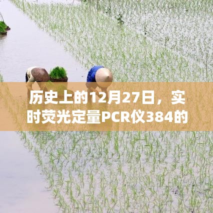 联系方式 第206页