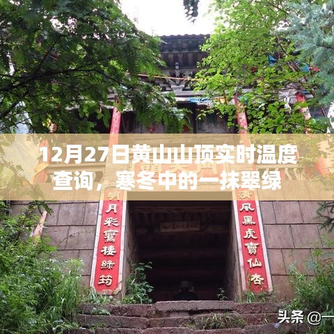 寒冬中的一抹翠绿，黄山山顶实时温度查询，12月27日数据更新