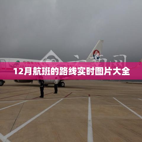 十二月航班实时路线图集