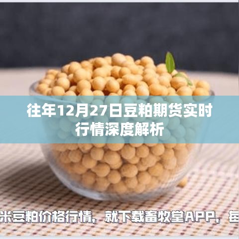 豆粕期货行情解析,深度解读实时行情