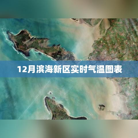 设计师团队 第197页