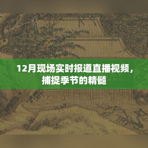 12月现场直播，季节精髓的实时捕捉