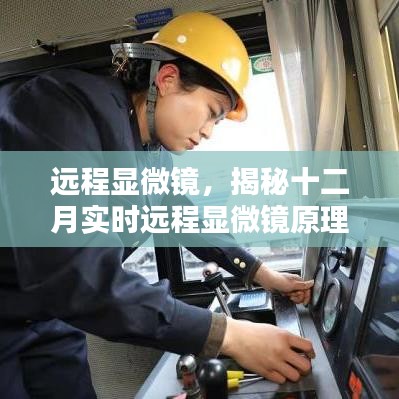 远程显微镜揭秘，十二月实时观察原理探究