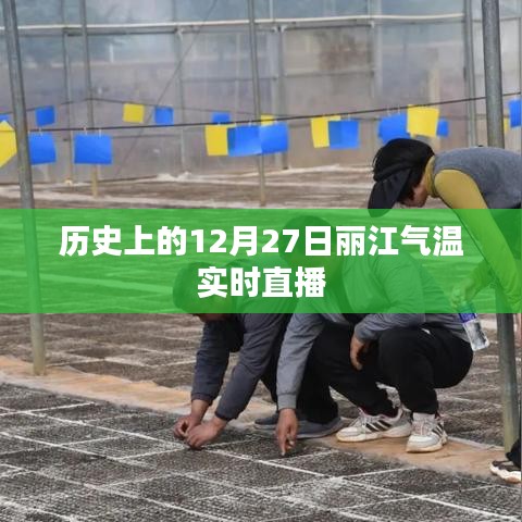 丽江气温直播,历史上的12月27日气温回顾