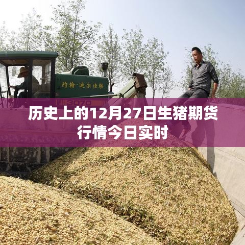 历史上的12月27日生猪期货行情最新实时动态