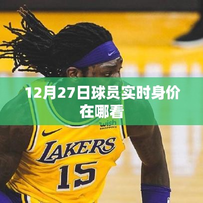 球员实时身价查询指南，最新身价一目了然