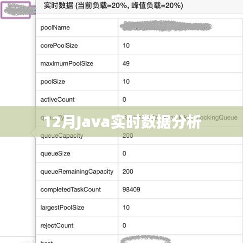12月Java实时数据分析技术详解