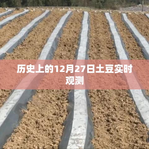 土豆观测历史，揭秘十二月二十七日的实时数据