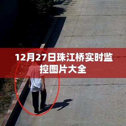 珠江桥实时监控图片集,最新实拍,一览无余