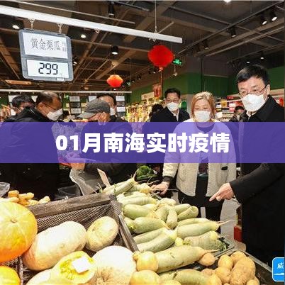 南海实时疫情最新动态