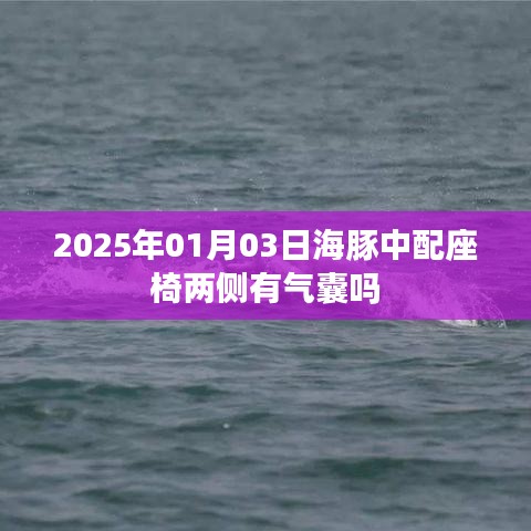 海豚中配座椅两侧气囊配置解析，2025年1月3日更新