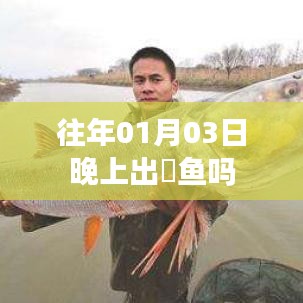 建议，鳡鱼捕捞时间揭秘，一月份是否适合捕捞鳡鱼？