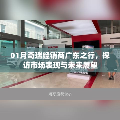 水浄鹅飞 第3页