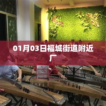 福城街道附近厂区动态，最新资讯与活动安排
