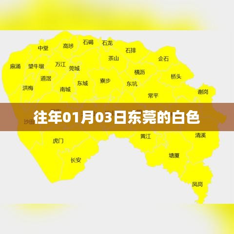 东莞白色风情,历年一月初的独特魅力