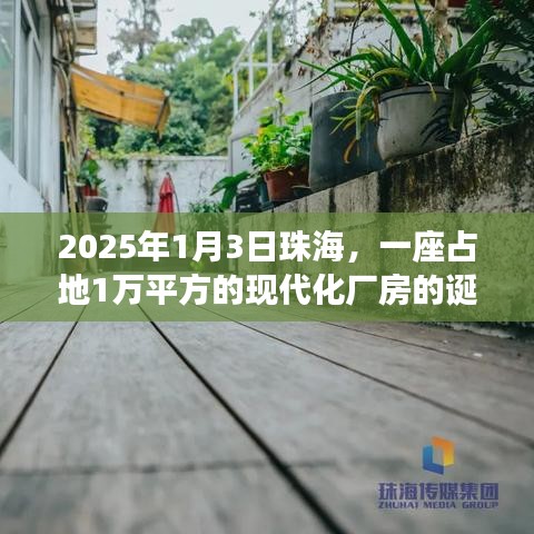 珠海现代化厂房诞生记，占地万平，开启新征程