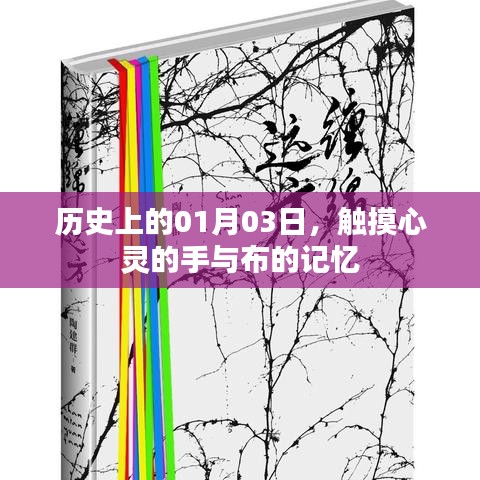 望其项背 第2页