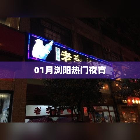 设计风格指南 第184页