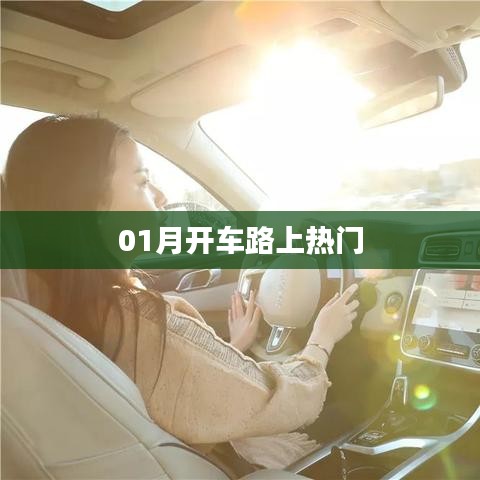 开车路上热门事件大揭秘！