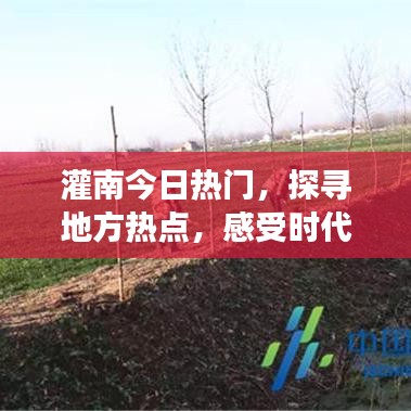 灌南今日热点聚焦，探寻地方风情与时代脉搏