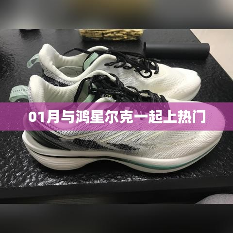 鸿星尔克与一月热浪，揭秘热门背后的故事