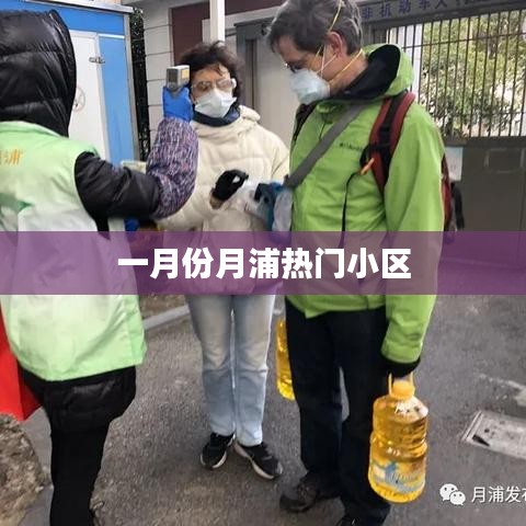 月浦一月份热门小区榜单揭晓
