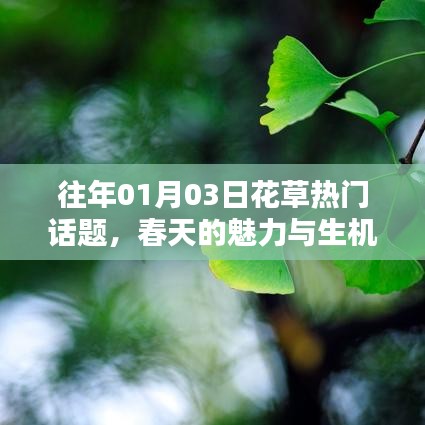 往年春草话题,生机勃发的春天魅力