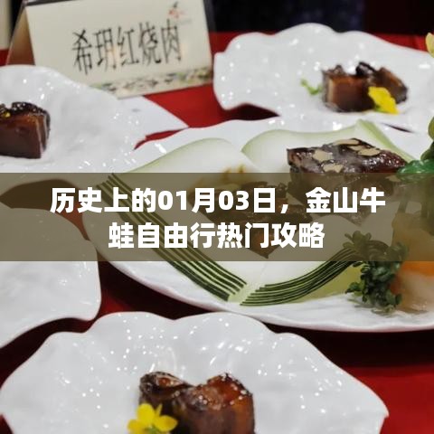 金山牛蛙自由行热门攻略，一月三日历史回顾与出游指南