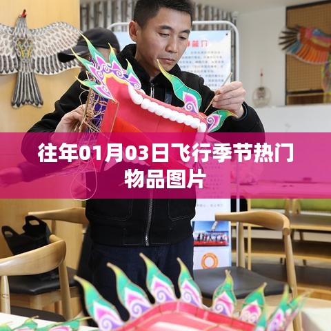 飞行季节热门物品图片盘点