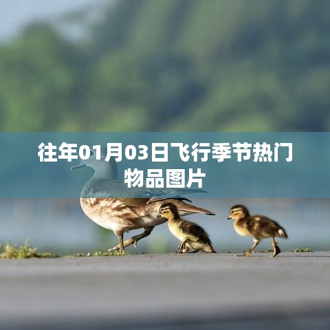 飞行季节热门物品图片盘点