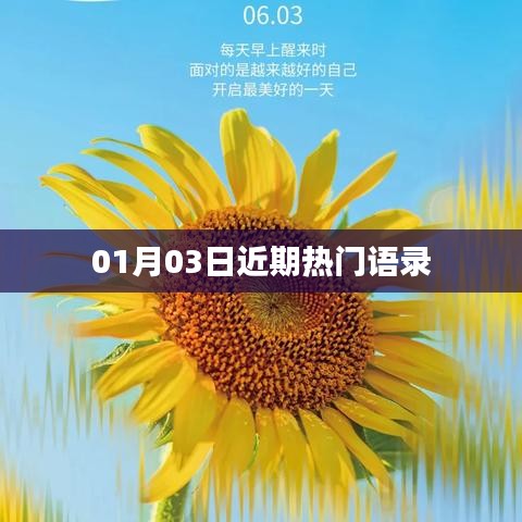 热门语录来袭，新年新启示，温暖心灵话语