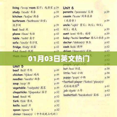 真独简贵 第3页