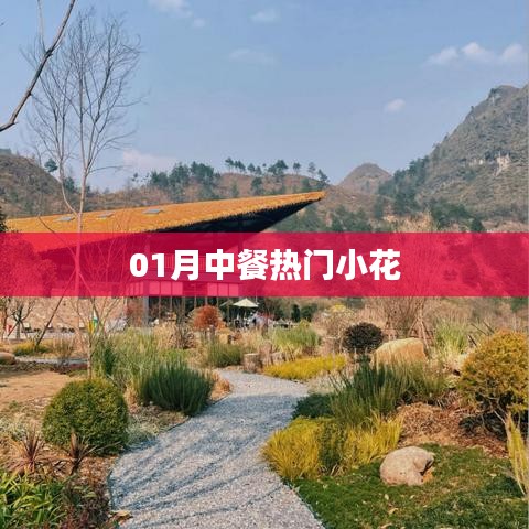 01月中餐流行小花盘点