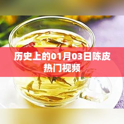 历史热门视频，一月三日陈皮回顾
