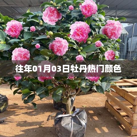 策名就列 第3页