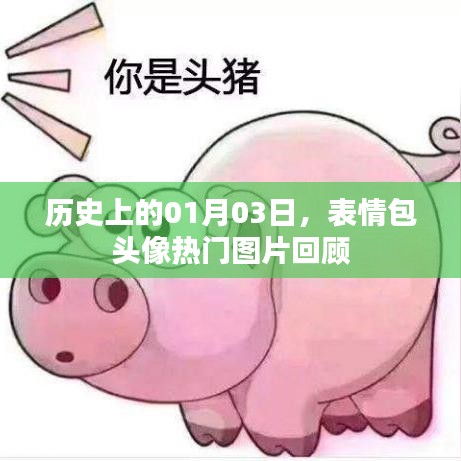 历史上的今日，一月三日表情包头像回顾