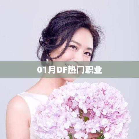 01月DF热门职业一览