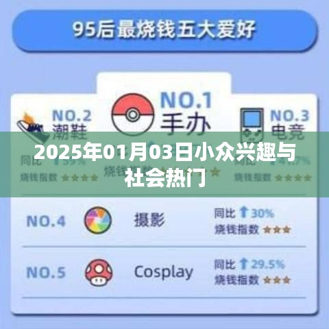 小众兴趣与热门话题交汇，2025年观察