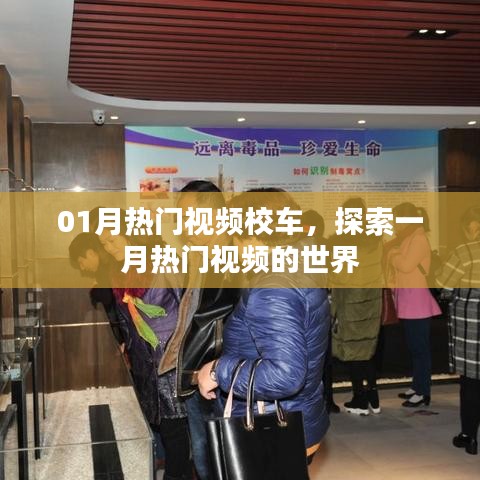 探索一月热门视频，热门校车视频大赏