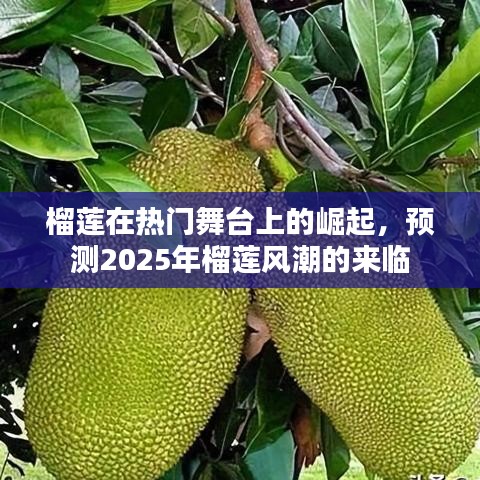 榴莲风潮来袭，预测未来榴莲市场繁荣至2025年