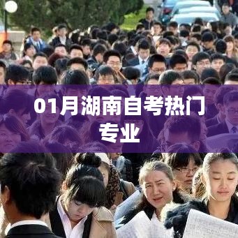 湖南自考一月热门专业选择解析