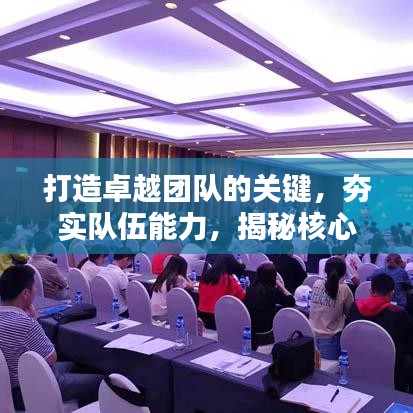 打造卓越团队的关键,夯实队伍能力,揭秘核心要素!