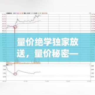 量价绝学独家放送，量价秘密——趋势、板块、黑马股操作宝典书籍 