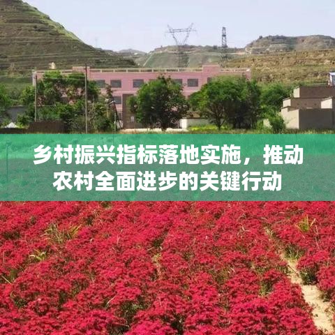 乡村振兴指标落地实施,推动农村全面进步的关键行动
