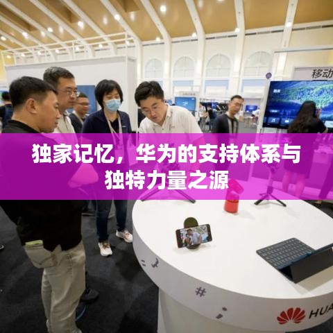 独家记忆，华为的支持体系与独特力量之源