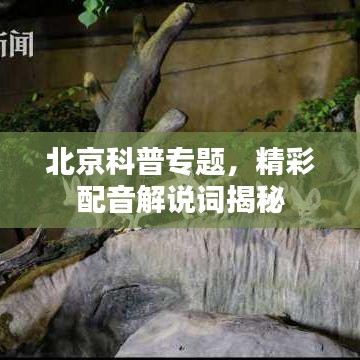 北京科普专题,精彩配音解说词揭秘
