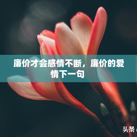 廉价才会感情不断，廉价的爱情下一句 