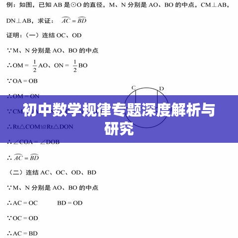 初中数学规律专题深度解析与研究