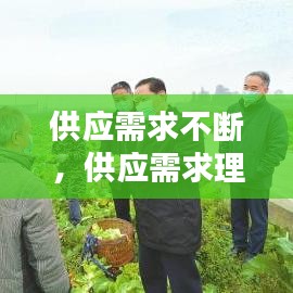 供应需求不断，供应需求理论 